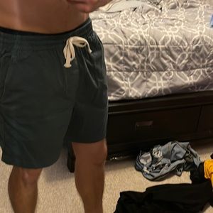 Brand New J Crew, medium-size shorts